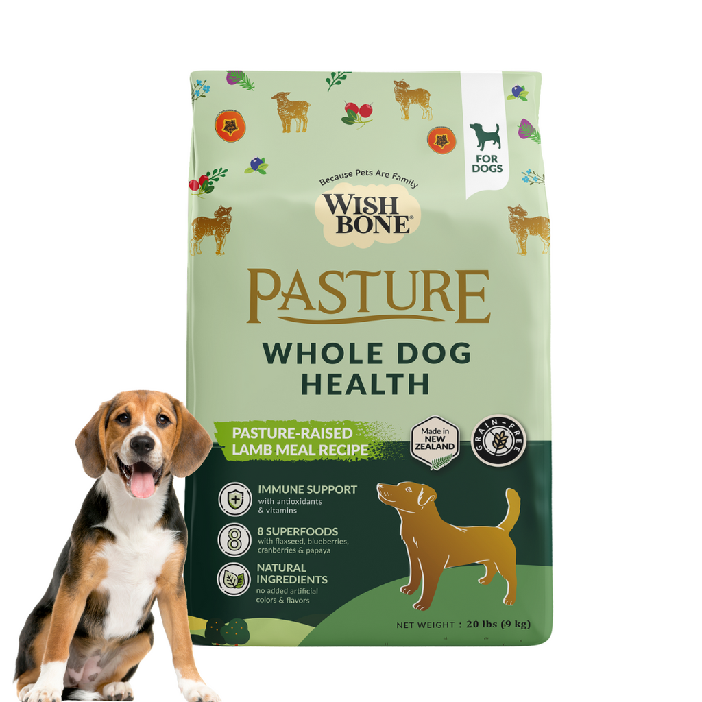 Wishbone Pasture New Zealand Lamb, Gluten Free, Grain Free Dry Dog Food for Overall Pet Health