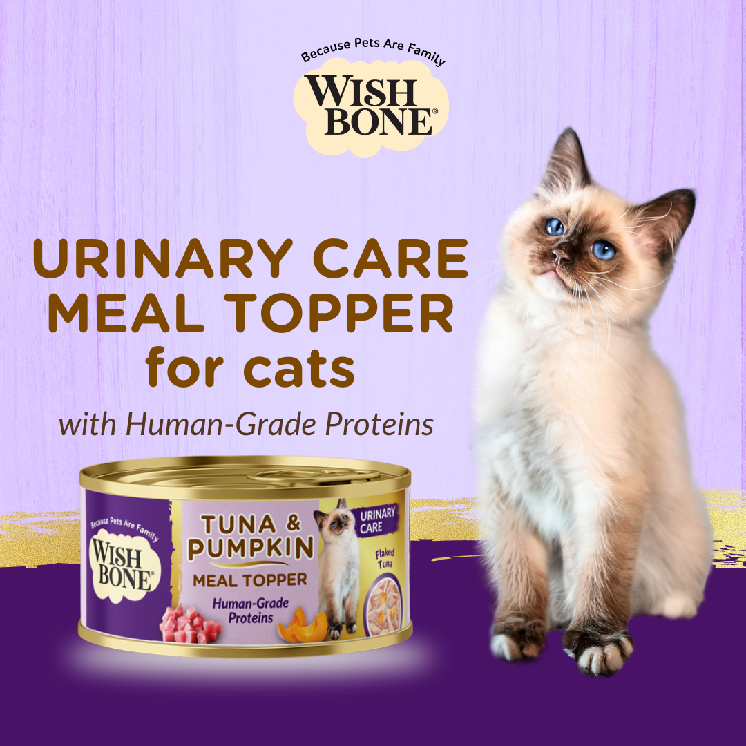 Wishbone Tuna & Pumpkin - Cat Urinary Care Topper in Cans 85g